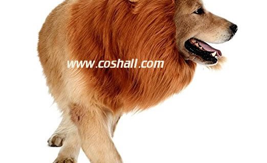 cosplay-wig-pet-lion-dog