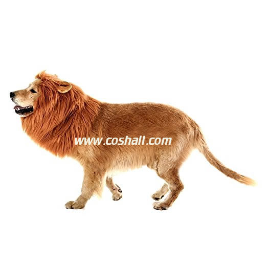 cosplay-wig-pet-lion-dog